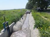 Продаётся  участок 316 сот, photo 6 from 8