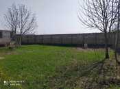 Объявление №5105089 - Шеки, Шеки, 6 сот