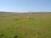 Продаётся  участок 55 сот, пос. Мехтиабад, photo 7 from 8