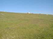 Объявление №5110942 - Баку, пос. Мехтиабад, 55 сот