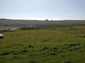 Продаётся  участок 55 сот, пос. Мехтиабад, photo 8 from 8