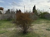 Torpaq - Novxanı q. - 8 sot
