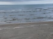 Satılır  torpaq 500 sot, photo 3 from 4