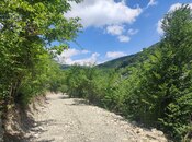 Продаётся  участок 500 сот, photo 6 from 8