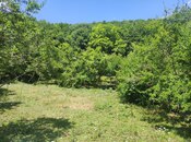 Продаётся  участок 500 сот, photo 8 from 8