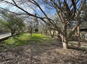 Продаётся  участок 30 сот, пос. Бадамдар, photo 6 from 8