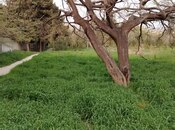 Elan №5118588 - Bakı, Nəsimi m., 2 otaqlı, 80 m²