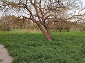 Продаётся 2-комн. дом/дача 80 м², м. Насими, photo 6 from 8