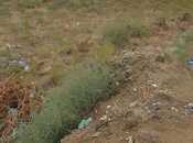 Продаётся  участок 35 сот, пос. Сарай, photo 6 from 8