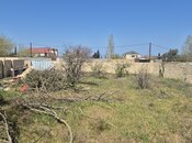 Elan №5128631 - Bakı, Novxanı q., 8 sot