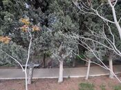 Продаётся  участок 12.2 сот, пос. Бадамдар, photo 4 from 8