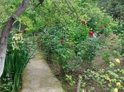 Продаётся  участок 8 сот, м. Азадлыг проспекти, photo 4 from 5