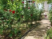 Продаётся  участок 8 сот, м. Азадлыг проспекти, photo 5 from 5