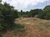 Elan №5140026 - Bakı, Mərdəkan q., 30 sot