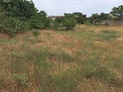 Satılır  torpaq 30 sot, Mərdəkan q., photo 3 from 8