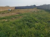 Продаётся  участок 12 сот, пос. Нардаран, photo 7 from 7