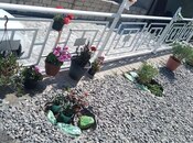 Сдаётся 3-комн. дом/дача 90 м², photo 8 from 8