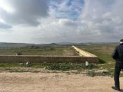 Продаётся  участок 200 сот, пос. Кобу, photo 3 from 4