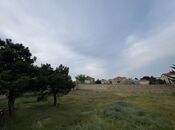 Продаётся  участок 40 сот, пос. Бадамдар, photo 6 from 8