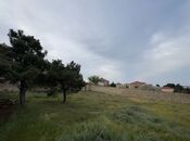 Продаётся  участок 40 сот, пос. Бадамдар, photo 3 from 8