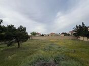 Продаётся  участок 40 сот, пос. Бадамдар, photo 8 from 8