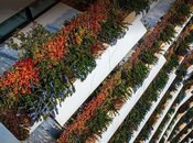 Satılır 5 otaqlı yeni tikili 379 m², İçəri Şəhər m., photo 4 from 8