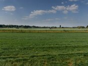 Elan №5163194 - Şamaxı, Şamaxı, 566 sot