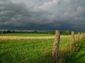 Satılır  torpaq 566 sot, photo 2 from 3