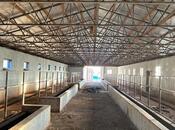 Объявление №5168095 - Исмаиллы, Исмаиллы, 31200 м²