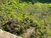 Продаётся  участок 10 сот, пос. Бузовна, photo 6 from 8