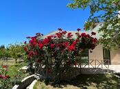 Satılır 8 otaqlı həyət evi/bağ evi 400 m², Türkan q., photo 2 from 8