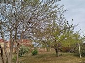 Продаётся  участок 8 сот, пос. Новханы, photo 8 from 8
