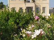 İcarəyə verilir 3 otaqlı həyət evi/bağ evi 300 m², Mərdəkan q., photo 8 from 8