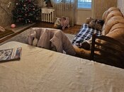 Продаётся 3-комн. вторичка 80 м², м. Шах Исмаил Хатаи, photo 3 from 8