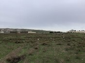 Продаётся  участок 156 сот, пос. Геокмалы, photo 3 from 8