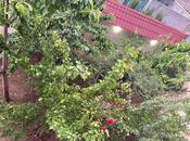 Продаётся 7-комн. дом/дача 286 м², пос. Мехтиабад, photo 2 from 8