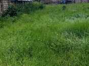 Satılır  torpaq 12 sot, photo 8 from 8