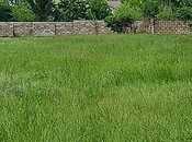 Satılır  torpaq 12 sot, photo 7 from 8