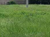 Satılır  torpaq 12 sot, photo 6 from 8