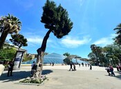 Продаётся  объект 500 м², м. Ичеришехер, photo 8 from 8