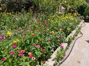 Satılır 7 otaqlı həyət evi/bağ evi 148 m², Novxanı q., photo 7 from 8