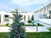 4-комн. дом/дача - пос. Мардакан - 220 м²