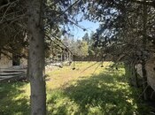 Satılır  torpaq 30 sot, Qala q., photo 2 from 8