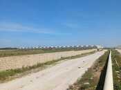 Satılır  torpaq 500 sot, Zirə q., photo 4 from 6