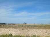 Satılır  torpaq 500 sot, Zirə q., photo 2 from 6