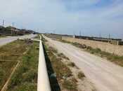 Satılır  torpaq 500 sot, Zirə q., photo 5 from 6