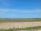 Satılır  torpaq 500 sot, Zirə q., photo 3 from 6