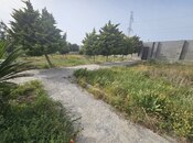 Продаётся  участок 12 сот, пос. Шувеляны, photo 3 from 5