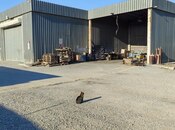İcarəyə verilir  obyekt 5 000 m², Sahil q., photo 3 from 7
