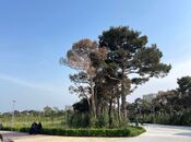 Продаётся 4-комн. новостройка 149 м², Насиминский  р., photo 2 from 8